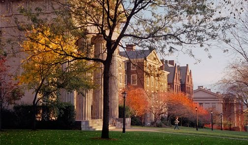 brown accepted essays brown accepted essays