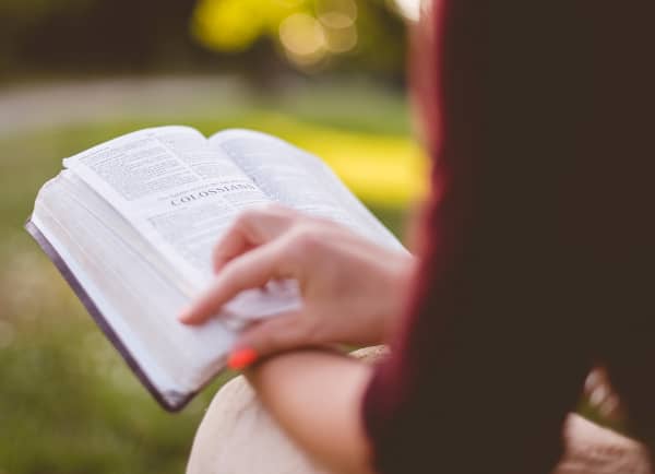 Cheap essay proofreading free