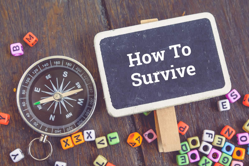 Steps To Create An Ideal Essay Steps To Create An Ideal Essay