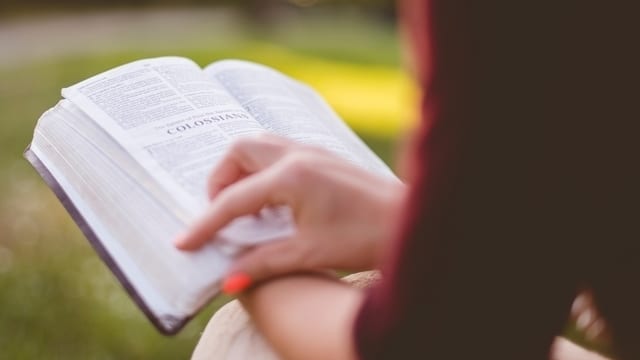 free writing for essay workshop