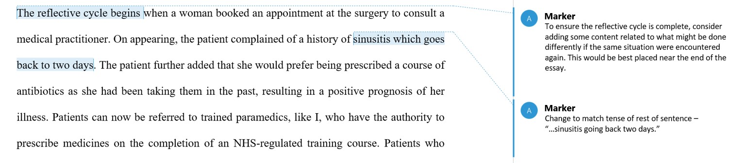 example of feedback on submission as a whole